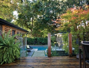 Photos : rénovation d'un jardin urbain